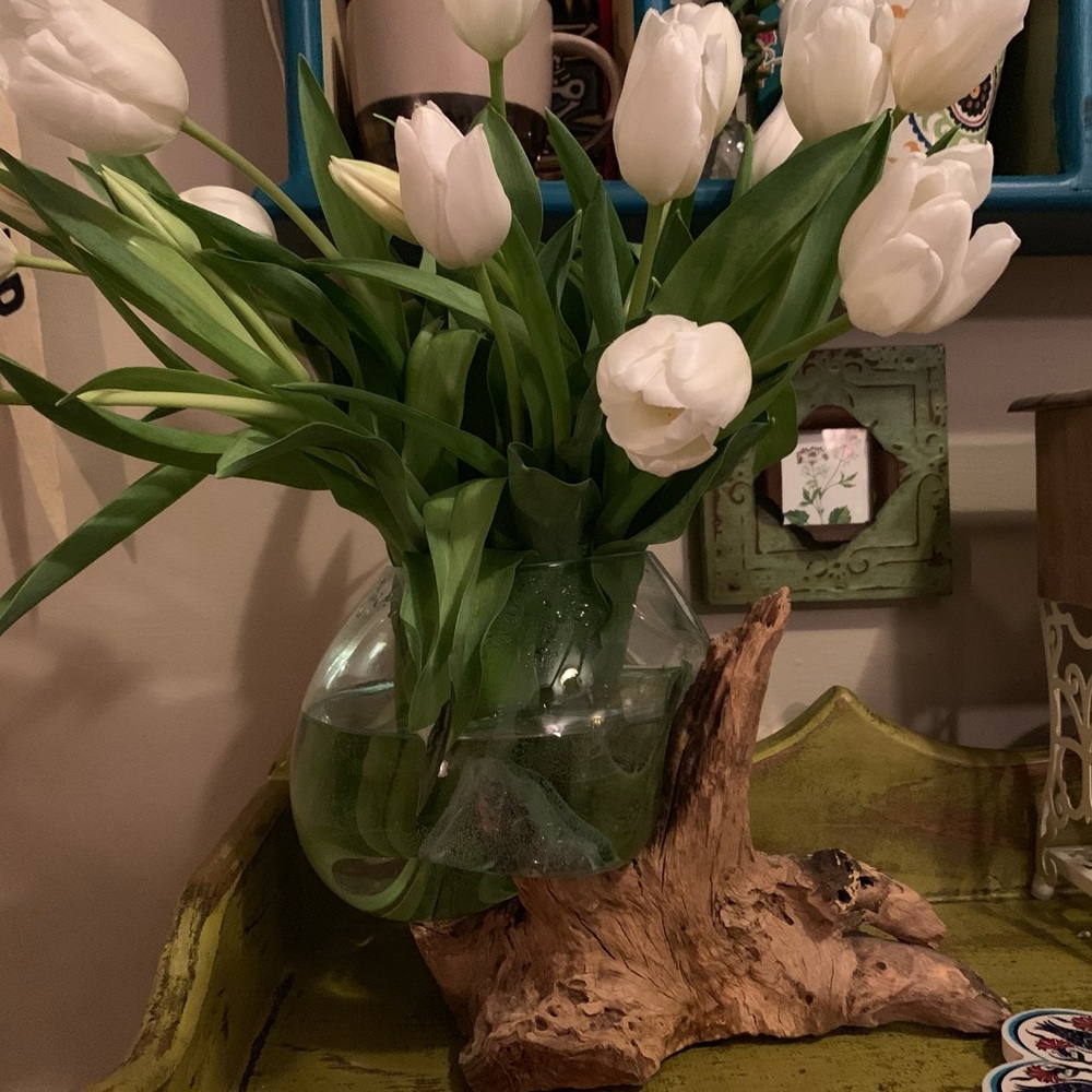 Meet your Posher, Kelsey